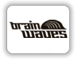 BRAIN WAVES